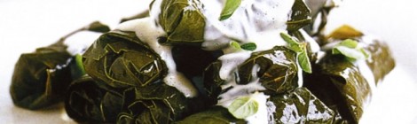 Delicious stuffed vine leaves - also know as sarma