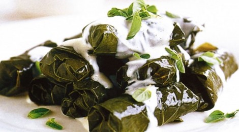 Delicious stuffed vine leaves - also know as sarma